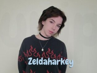 zeldaharkey Uniform Porn XXX