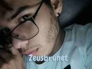 Zeusbrunet
