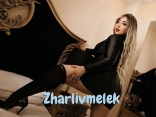 zharlivmelek Uniform Porn XXX